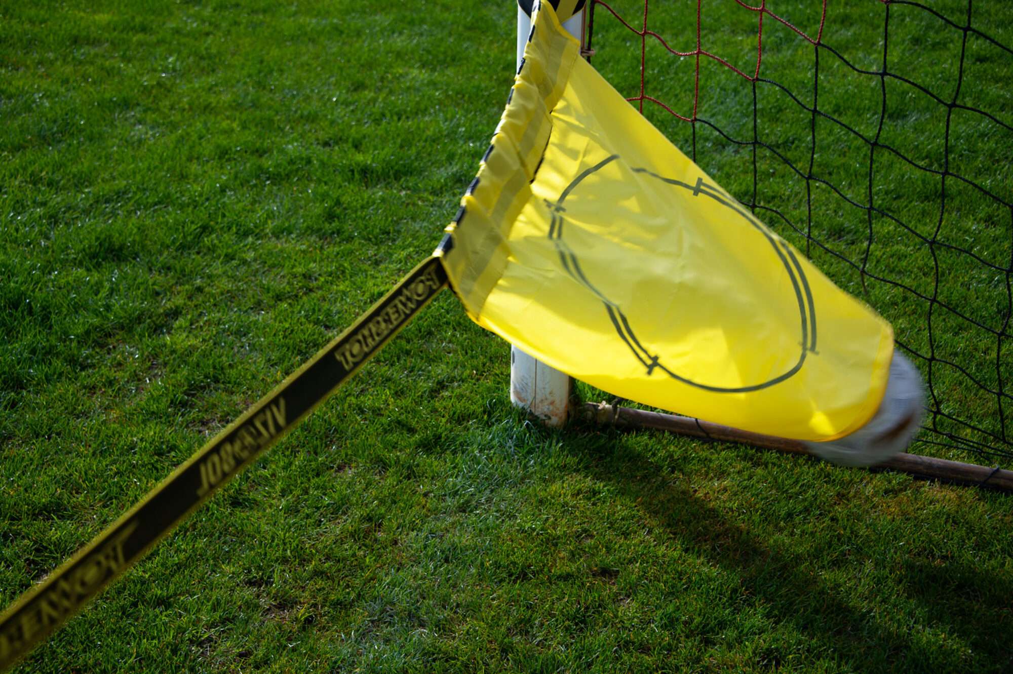 Image du produit : VIZOSOL (porteria 11) - ¡El 76% de los goles se marcan en el suelo!