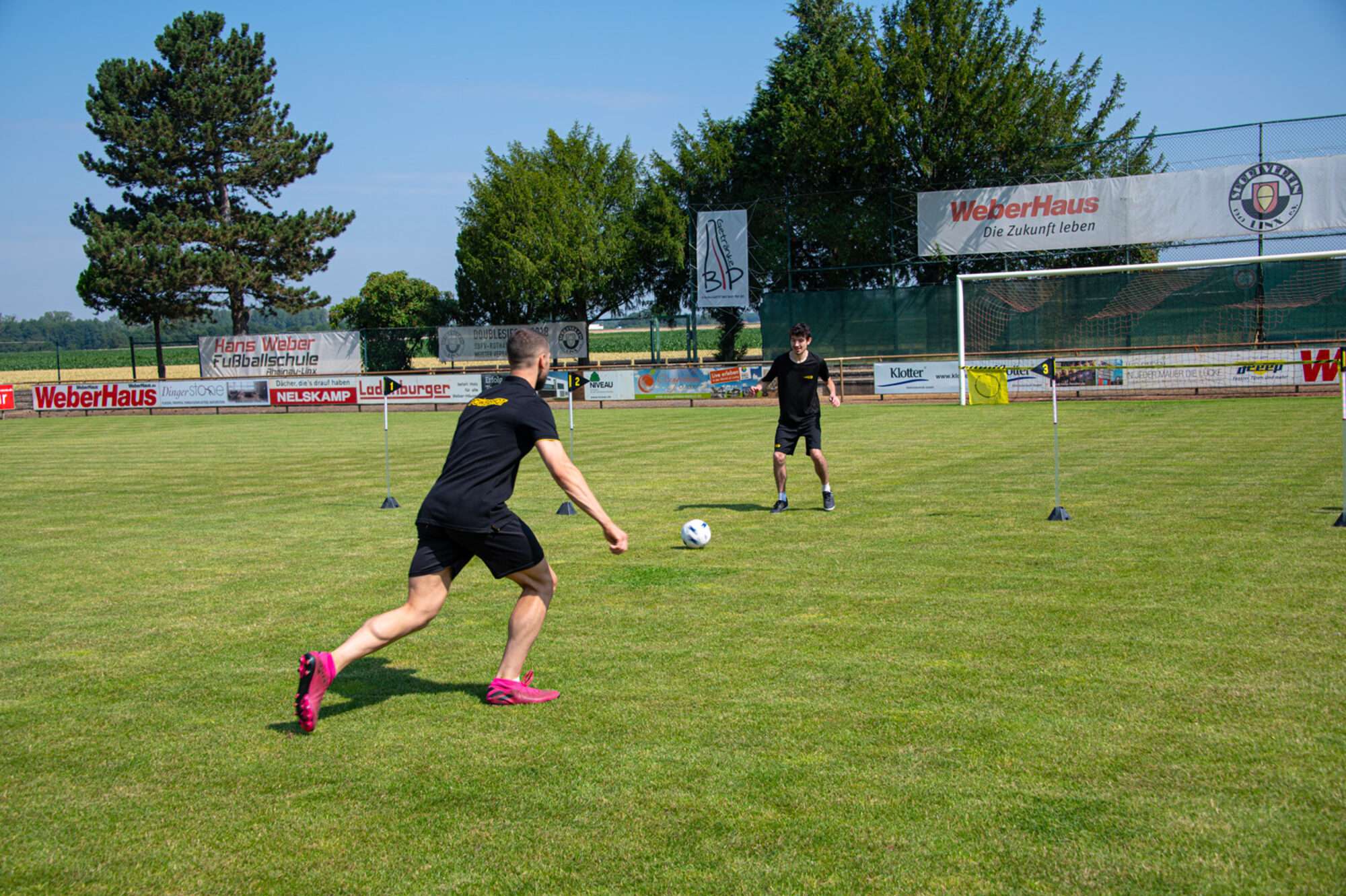 Image du produit : POWERLITE - 6 bastones de agilidad iluminados (con control de mando a distancia)