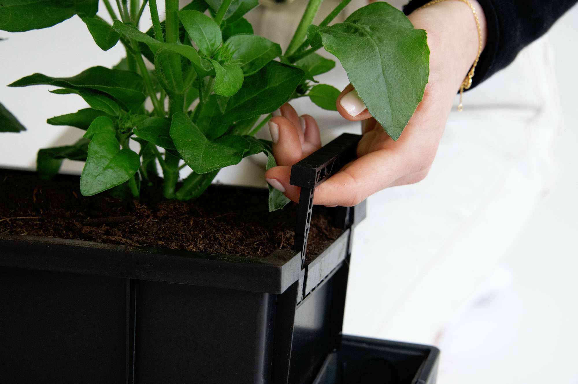 Image du produit : Maceta autoirrigante SUPREME - 75cm