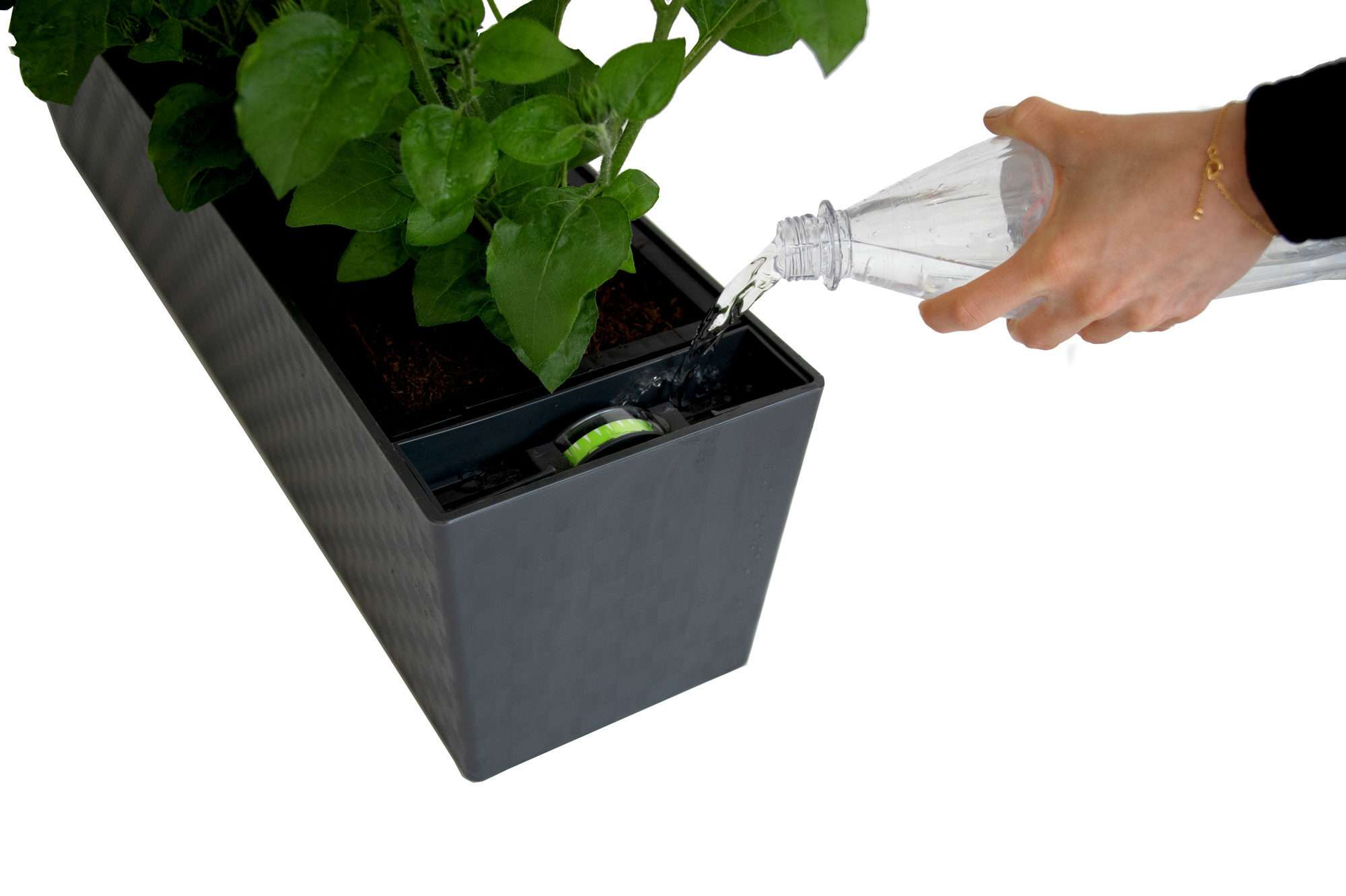 Image du produit : Maceta autoirrigante SUPREME - 75cm