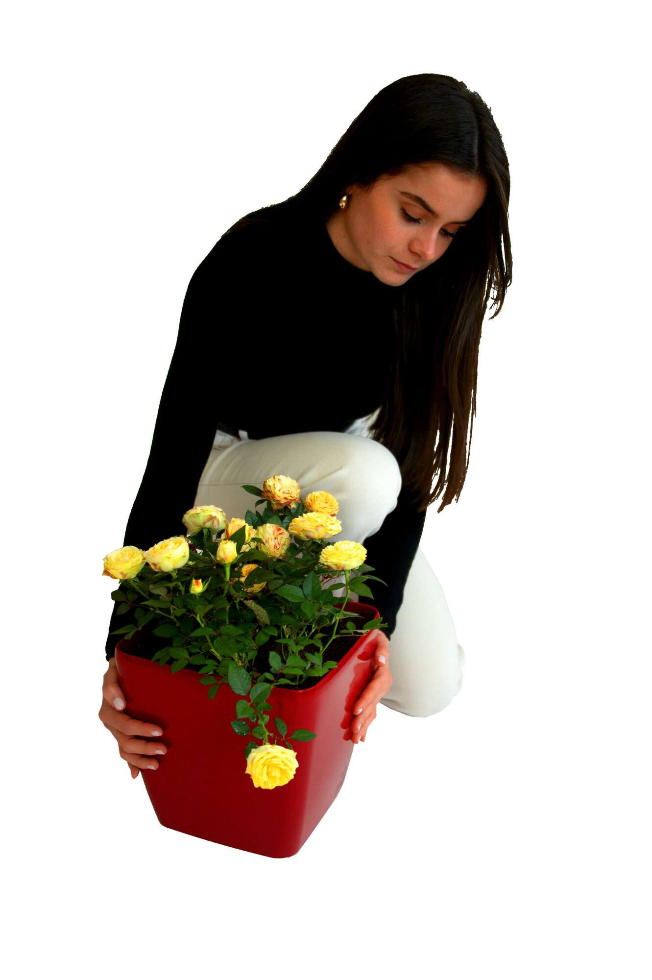 Image du produit : Maceta autoirrigante QUADRATO - 24cm x 24cm x 25cm