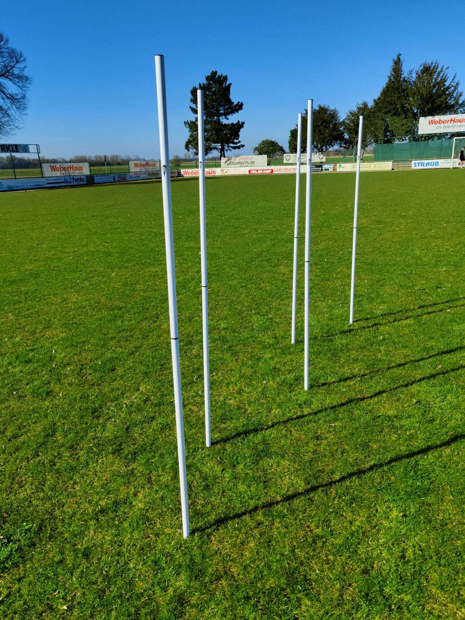 Image du produit : Lote de 5 bastones de eslalon blancos  - extremadamente resistentes