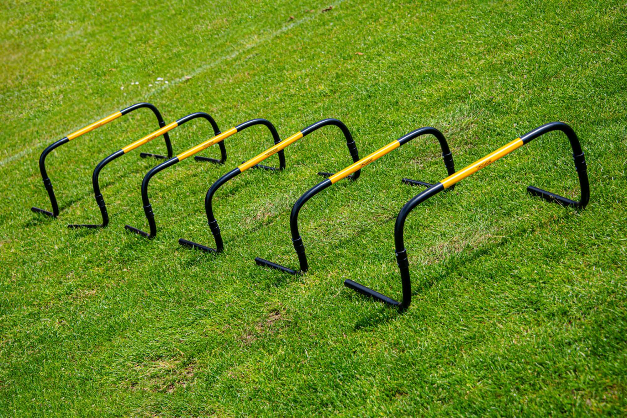 Image du produit : Vallas 'Self Return' - 20cm - Lote de 6