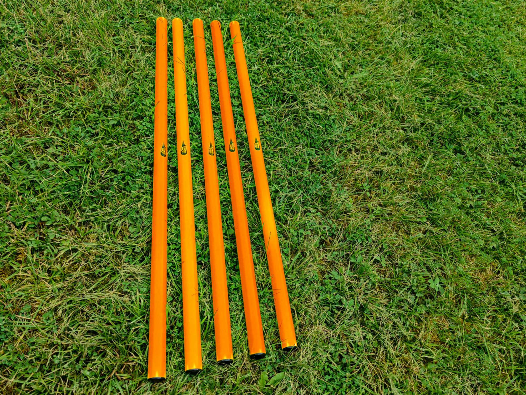 Image du produit : Juego de 5 bastones de eslalon 80cm Naranja