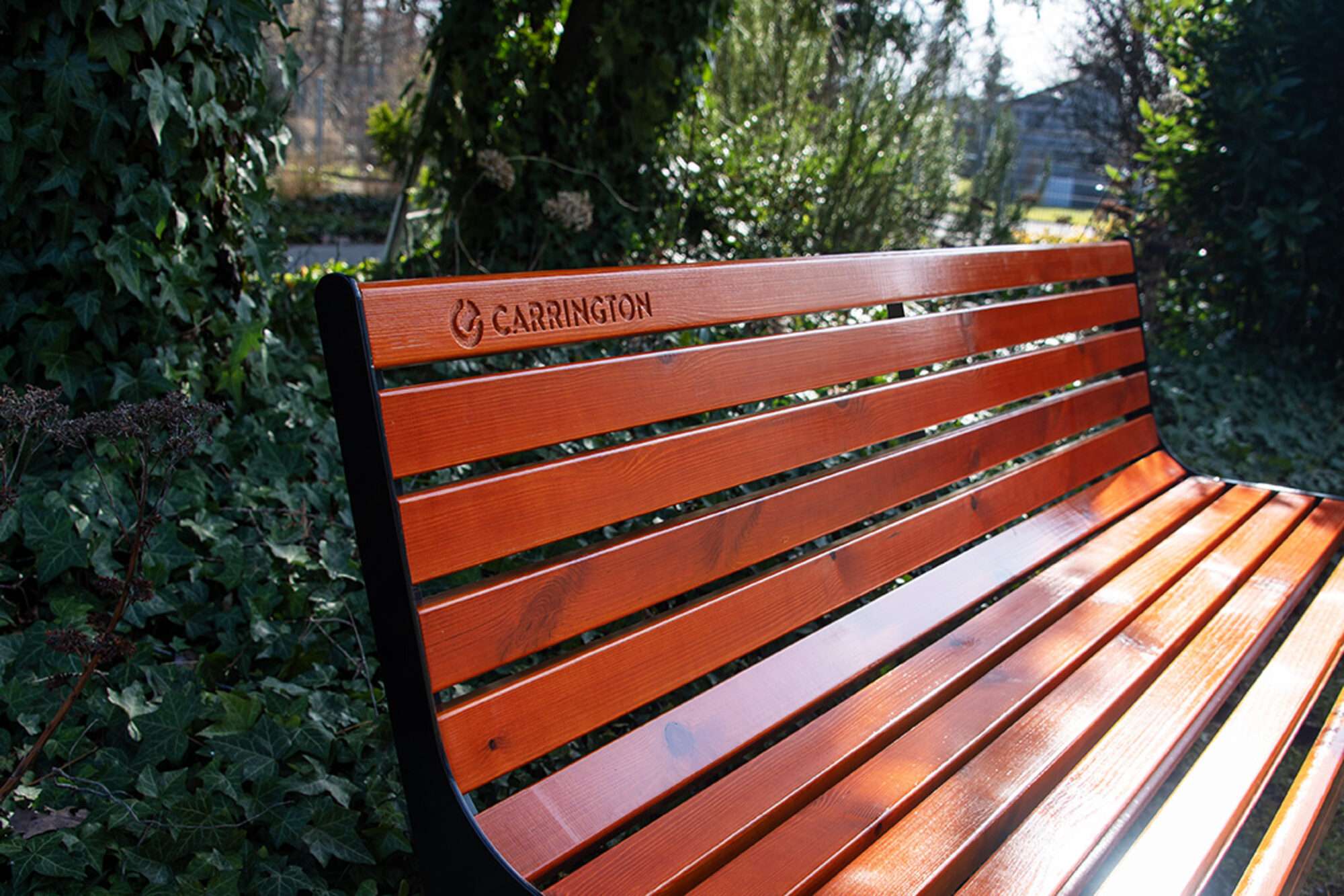 Image du produit : Banco de tenis de madera Premium con respaldo - 180 cm